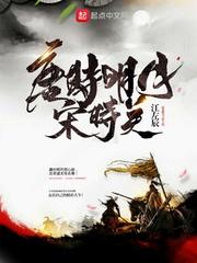 我的26岁美女总裁房客